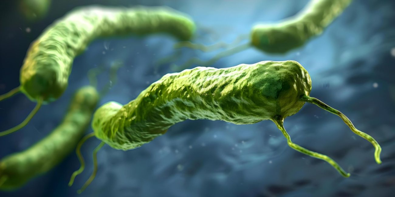 Green bacteria in microscopic view