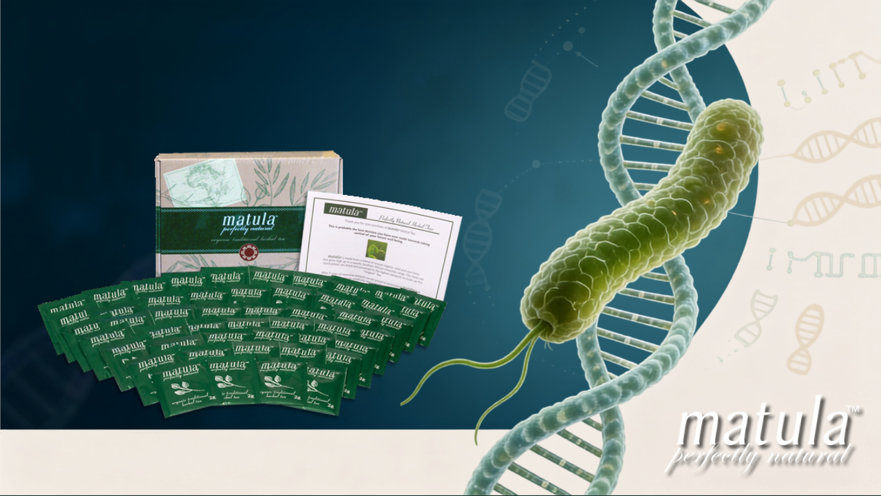 h pylori genetic research